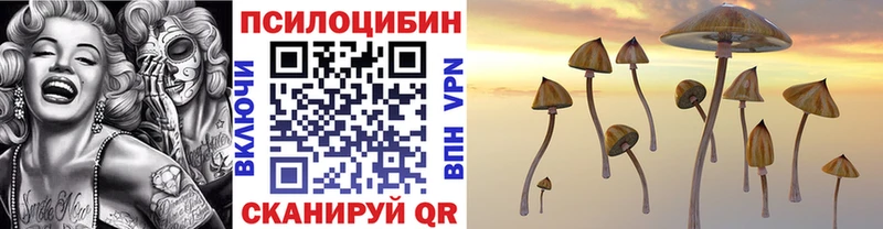 Галлюциногенные грибы Psilocybe где купить наркоту Яхрома